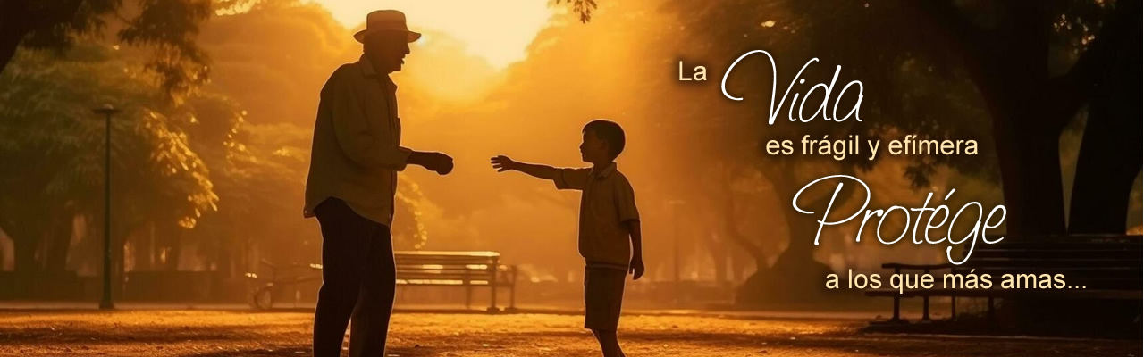 Conciencia de Prevision